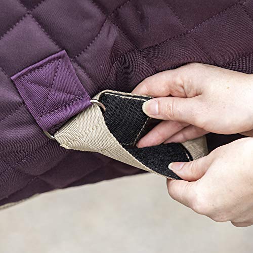 Couverture d'écurie Amigo Plus Horseware pour cheval au box respirante - 5
