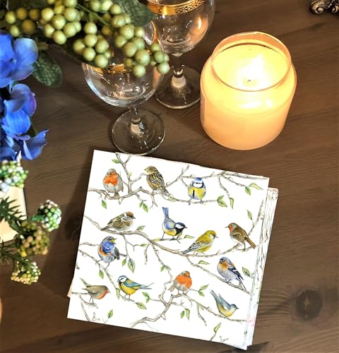 20-ct-65-Bird-Napkins-for-Decoupage-Beautiful-Napkins-Bird-Paper-Napkins-Mothers-Day-Napkins-Spring-Napkins-Paper-Decorative-Napkins-Decoupage-All-Season-Napkins-Pretty-Napkins-Fathers-napkins 20 ct 65 Bird Napkins for Decoupage Beautiful Napkins Bird Paper Napkins Mothers Day Napkins Spring Napkins Paper Decorative Napkins Decoupage All Season Napkins Pretty Napkins Fathers napkins