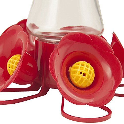 PerkyPet 204CP4 Favored PinchWaist Glass Hummingbird Feeder with