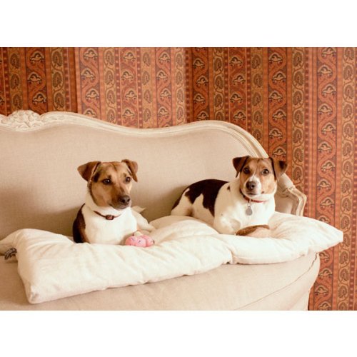 Pet Dreams Dog Crate Bed -Original Crate Pad/Kennel Mat - Quality Bedding Since 1999, 2 in1 Reversible for Summer and Winter. 100% Wash & Dry, Never Bunches! X-Large 42" Khaki Tan