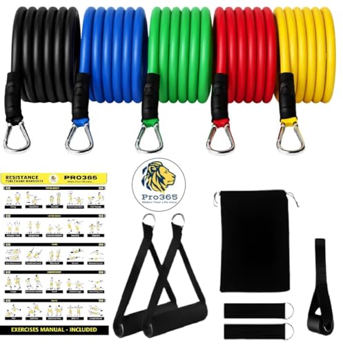 Image of PRO365 11 in 1 Resistance Band Kit for Home Exercises, Stretching, Toning Tube Kit with Foam Handles, Door Anchor (Ankle Strap, Carrying Bag, Exercise Manual Included)