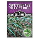Survival Garden Seeds - Switchgrass Seeds for Planting |...