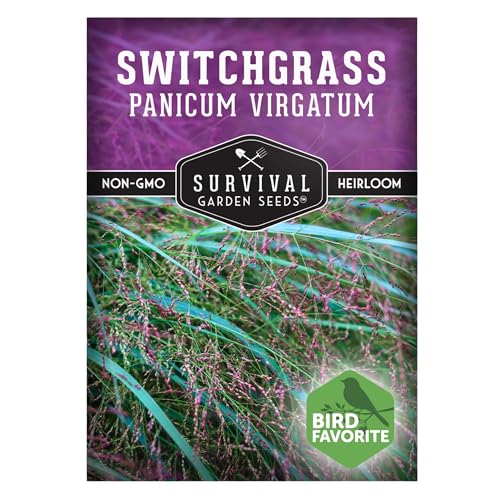 Survival Garden Seeds - Switchgrass Seeds for Planting | Panicum virgatum | North American Native Bunchgrass Plant | Prairie Restoration, Wildlife Cover - 1 Pack