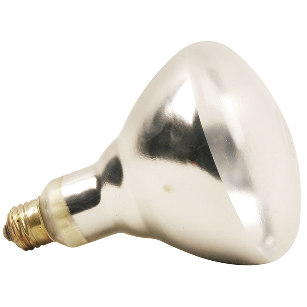 FMP Franklin Machine Products Clear Coated Infrared Heat Bulb, 250W