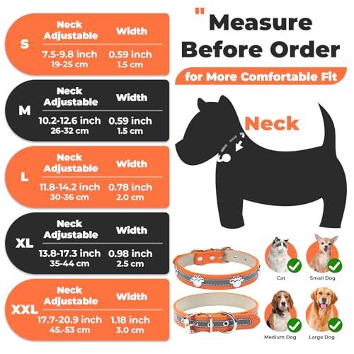 Collar para perros pequeños PETCARE y gatos medianos o grandes ajustable 3
