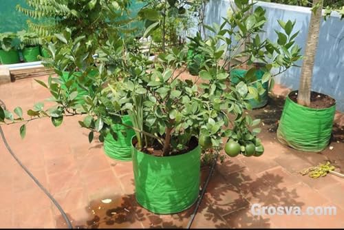 Image of Tathastu The Purity Organics 18 X 18 Inch Pack10|250 Gsm Terrace Home & Kitchen Gardening Hdpe Circular 100% Uv Treated Grow Bags (Plant Bags),Thick & Durable For Vegetable Fruits(18 X 18,10)