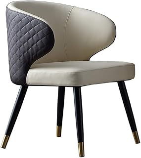 Ofgcfbvxd Sedia da pranzo Sillas de Comedor Sillas Conjunto de Cocina con sillas Amortiguador del Asiento Trasero Moderna Mediados de Siglo Sala Laterales for Habitaciones en hoteles for cenar