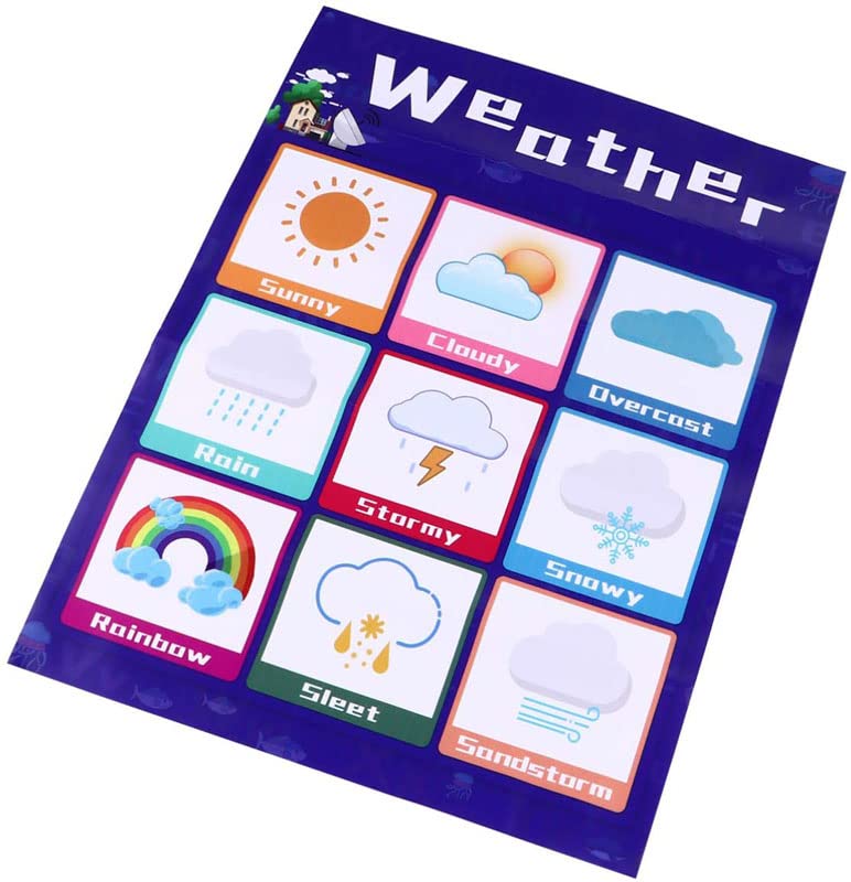 Buy Alphabet Educational s Words Educational Charts Weather for