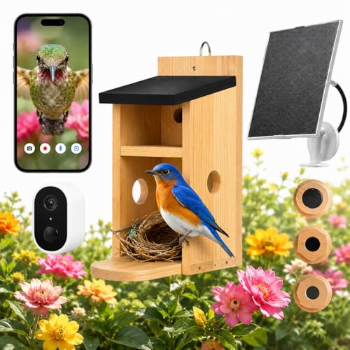 Bestmotoring Smart Bird House with Camera - Solar Powered AI Bird Feeder with 4MP Color Night Vision, AI Species Recognition & IP66 Waterproof, Ideal Gift for Bird Lovers