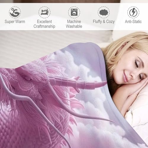 Couverture douce moelleux et chaude dragon mignon pour canape lit - 4