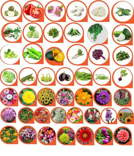 Image of All Season Seeds Combo - 60 Variety Pack | Veg + Flower Seeds | 3700+ Seeds | High Germination | Home Gardening Kit for Balcony, Terrace & Garden