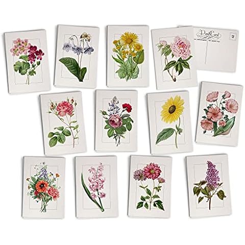 Vintage Floral Postcards - 24 Antique Flower Postcards - 12 Assorted Botanical Retro Book Illustration Cards Printed on Antique Textured Style Cardstock - Great for Spring, Summer, Gardening, & Nature Cover