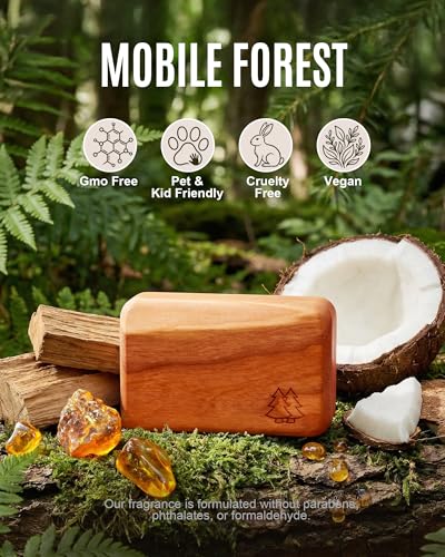 Image of Natural Wooden Car Air Freshener for Visor Clip- Natural Teak /Cabana /Amber Scents, Long-Lasting Odor Eliminator with Metal Clip, 3 Refillable Wood Chips for Cars /Trucks /SUVs