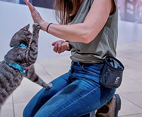 RC Pet Products Bolsa essencial para petiscos, bolsa de treinamento com clipe de cinto e dispensador