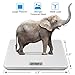 Scales for Digital Weight - 4 High Precision Sensors Body Weight Scale with Step On & Auto Calibrated & Auto ON/OFF Technology, Wide Sturdy Tempered Glass, Round Corner Design, 400