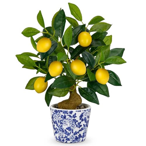 Artificial Potted Plants 15.7 inches Small Fake Lemon Tree Artificial Lemons Citrus Tree with Blue and White Pot Faux Potted Plants Indoor Lemon Decorations for Home Office Living Room Table Desk