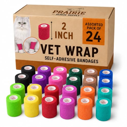 2 Inch Self Adhesive Bandage Wrap & Athletic Tape - 24Pk, Assorted Colors