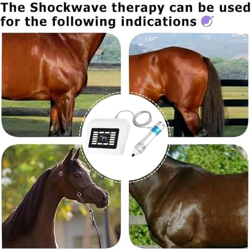 Extracorporal Shockwave Therapy Machine for Horses, Animal Shock Wave Massager, with 7 Deep Tissue Massage Heads, for Muscle Pain Relief miniatura 7