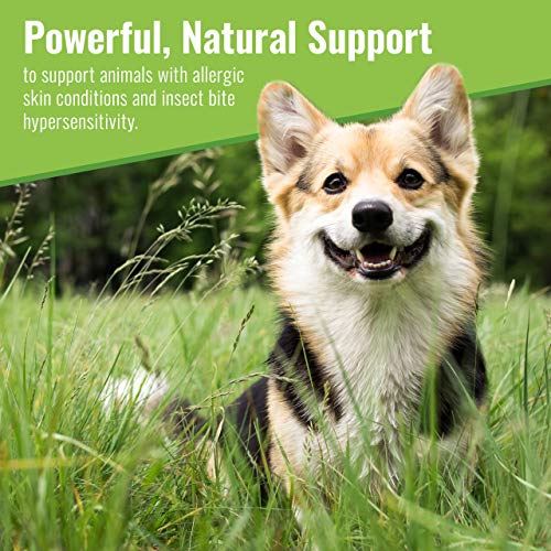 Mushroom Matrix Canine Organic Mushroom Powder Skin And Coat Supplement For Dogs, 100 Grams (Packaging May Vary) #TOP1