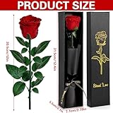 GMUFTIR B0G2RXRF16 lato 2