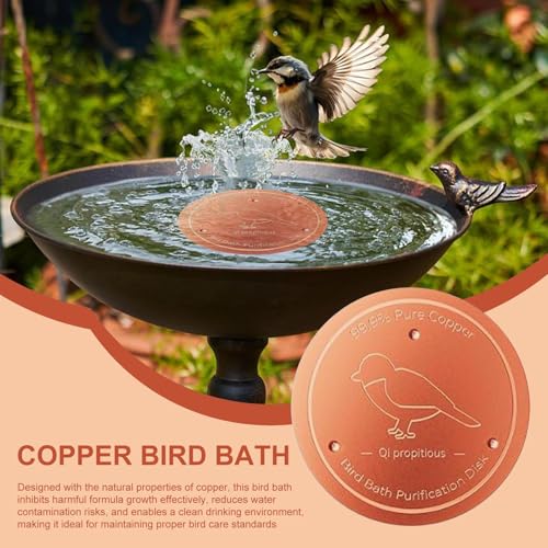 Disco de cobre para baño de pájaros macizo de alta resistencia 3