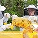 SGERUFZ 1 Pcs Edelstahl Entdeckelungsgabel Imkereiausrüstung Zubehör für Honigkamm Bienenzucht Werkzeug mit 21 Zinken