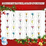 Flowers Advent Calendar 2025 for Kids Adults Teens, 24 Days Flower Bouquet Christmas Countdown Advent Calendar, Christmas Bouquet Blocks, Artificial Wildflower Bricks, Gift Set (Sunflower) - Image 6