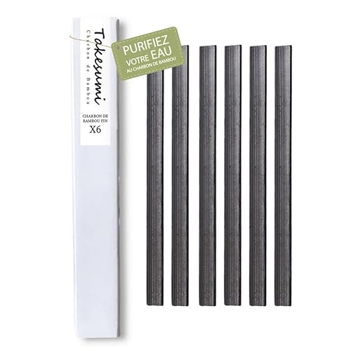Charbon Actif Eau Takesumi X6 charbons de bambou - 1 an d’eau filtrée charbon fin pour bouteille goulot étroit - 6 filtres à eau du robinet Charbon végétal de bambou - 1 bâton purifie 500ml d’eau