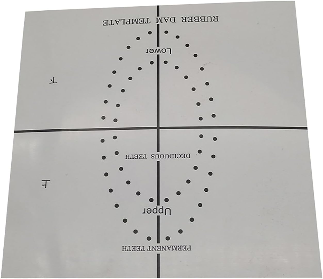 Premium Orthodontic Dental Rubber Dam Punch Tool Set with Tooth Ring Hole Openers, Gray