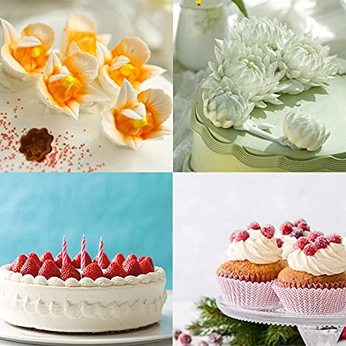 Lysee 3D Printer Parts & Accessories - Clay Fondant Extruder Cake Decorating Supplies Sugar Modeling Tool with Paste Extruder, 8 Pcs Dotting Tool