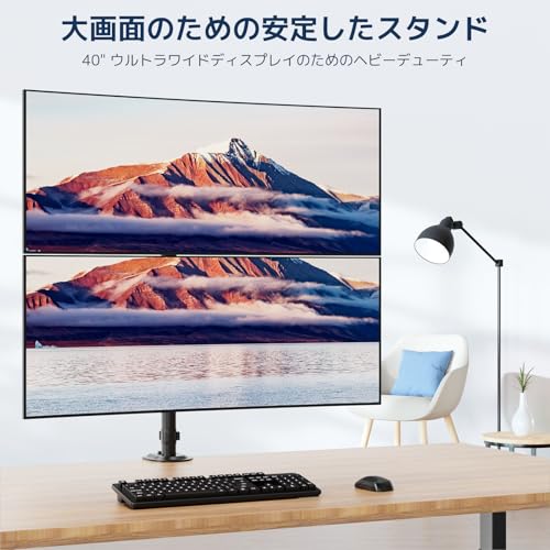 WORLDLIFT デュアル モニターアーム 10-T02V の商品画像 1