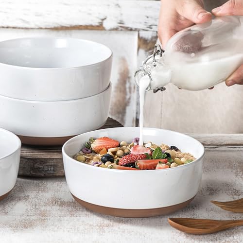 Ceramic-Cereal-Bowls-set-of-4-25-oz-Porcelain-Soup-Bowl-6-inch-Stoneware-Kitchen-Bowl-for-Salad-Oatmeal-Ramen-Pasta-Side-Dishes-Dishwasher-Microwave-Safe-Dinnerwar-Alabaster-White Ceramic Cereal Bowls set of 4 25 oz Porcelain Soup Bowl 6 inch Stoneware Kitchen Bowl for Salad Oatmeal Ramen Pasta Side Dishes Dishwasher Microwave Safe Dinnerwar Alabaster White