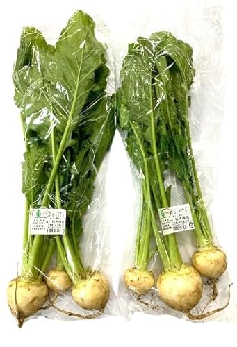 yL@F؁zt Ԃ̗L@ԁi3`5j500gP x2Zbgy①z