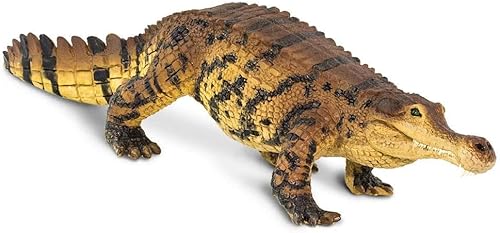 Miniatura 6 de Safari Ltd. Sarcosuchus - Figura de cocodrilo antigua  Figura detallada de plástico de 10 pulgadas  Divertido juguete educativo para niños, niñas y