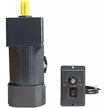 120W 220V AC Gear Motor 5IK120RGN-CF with Speed Regulator Adjustable Speed High Torque Asynchronous Motor Output Shaft 12mm0-22 RPM