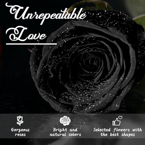 Miniatura 2 de Csyy Rosa Eterna, Rosa Eterna Negro Con Tallo Flores Preservadas Regalo San Valentín Dia De La Madre Flores Preservadas Regalo Mama Navidad Negro