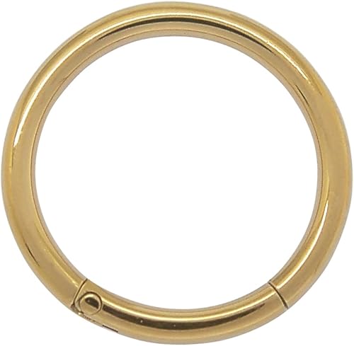 2 piercings de acero inoxidable 316L con bisagras, segmento de clicker, anillo de aro