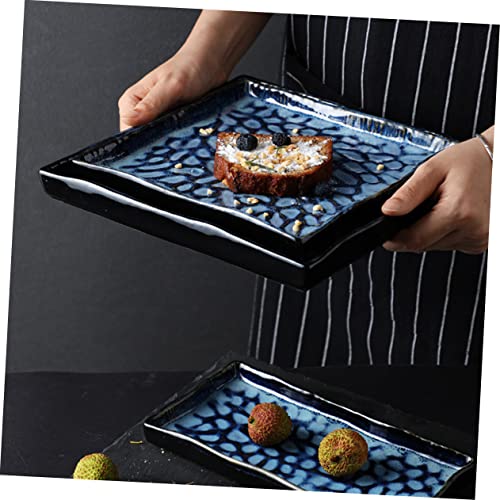Plato rectangular de cerámica para sushi y frutas miniatura 4