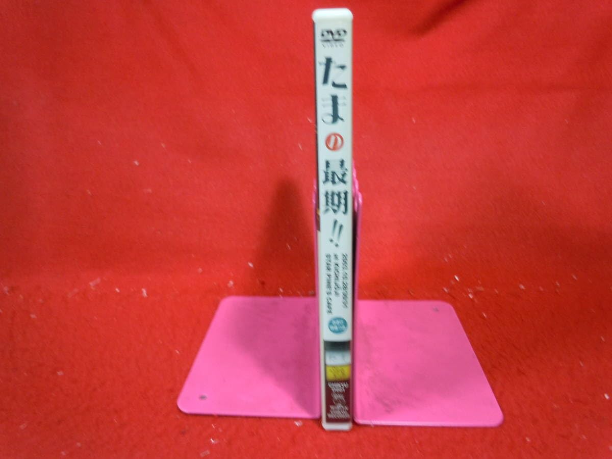 たま　たまの最期!! DVD 楽天市場】たま タマ / たまの最期!! 【DVD】 : HMV＆BOOKS