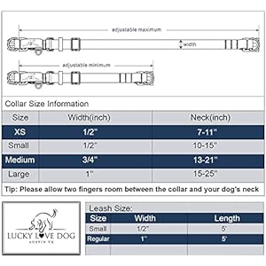 Lucky Love Dog Dog Collar, Leash Set Small, Medium, Large, Premium, Cute and Adjustable Collars for Male and Female Dogs, Winterblue Combo, Small Lucky Love Dog Dog Collar Leash Set Small Medium Large Premium Cute and Adjustable Collars for Male and Female Dogs Winterblue Combo Small