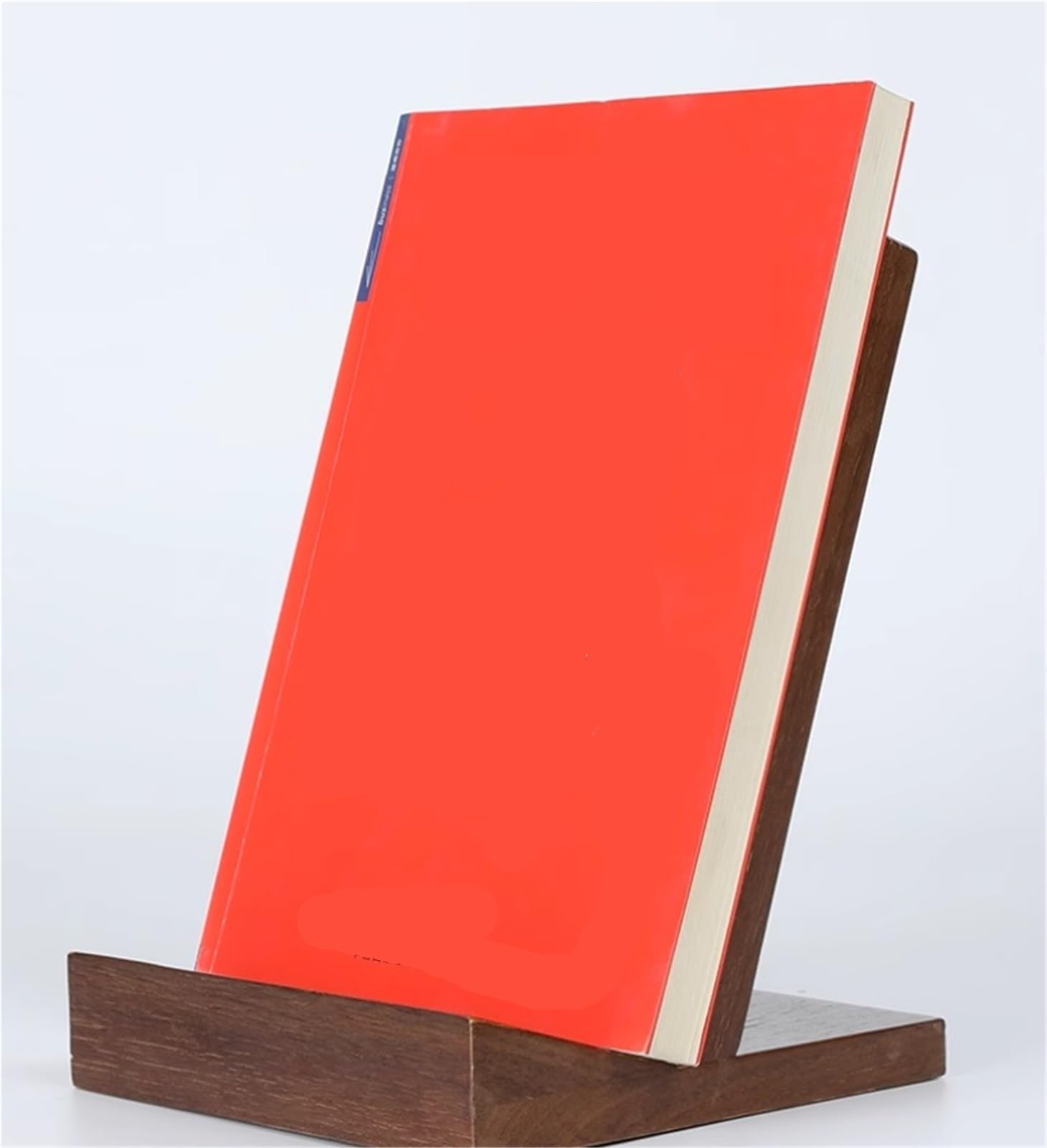 Supporto per dischi in vinile, supporto decorativo per album e CD, organizer per libri per casa e ufficio, soluzione funzionale per riporre i dischi