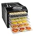 Chefman Food Dehydrator Machine Professional Electric Multi-Tier Food Preserver, Meat or Beef Jerky Maker, Fruit & Vegetable Dryer with 6 Slide Out Trays & Transparent Door