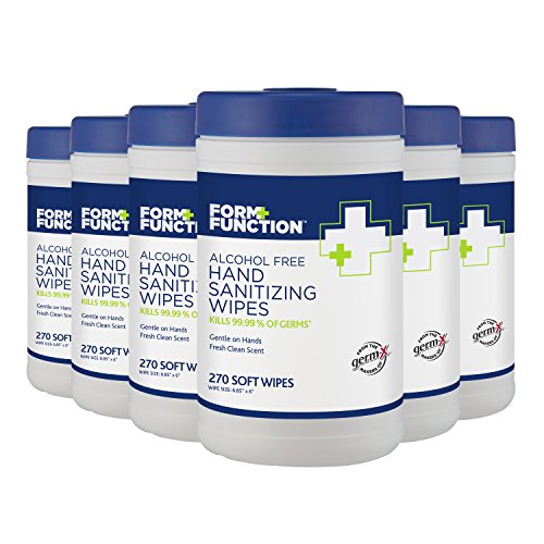 Form + Function Alcohol-Free Hand Sanitizing Canister Wipes, 270 wipes per Pack, Pack of 6