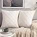 MIULEE Funda de Cojines Terciopelo Suave Color Sólido Funda de Almohada Moderna Duradera Decoración para Habitacion Sofá Comedor Cama Dormitorio Oficina Salón 2 Piezas 50x50 cm Blanco Crema