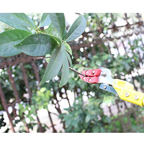 iLOT Long Reach Bypass Pruning Shears and Scissors in Garden for Tree Branches, Fruits and Pond Cleaning etc. - Thumbnail 3