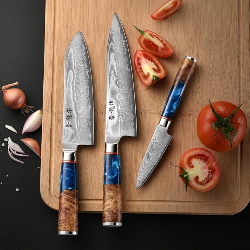 Image of Japanese Chef Knife Set 3 Pcs, 67-Layer Damascus Kitchen Knife Set with VG10 Steel Core, Professional Sharp Damascus Knives with Ocean-Blue Ergonomic Handle, Include Elegant Cooking Gifts Box