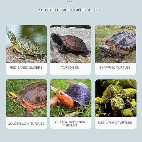 Aquário Para Tartarugas - Caixa De Alimentação Para Cágados | Habitat Anti-Fuga Para Caranguejos E R