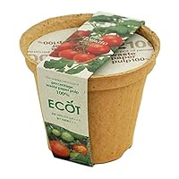 みにとまと 51m3DD8-w6L._SS200_.jpg