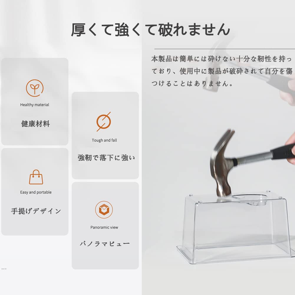 Amazon | 飼育ケース 飼育容器 虫かご 昆虫 飼育ランド ベタ水槽セット