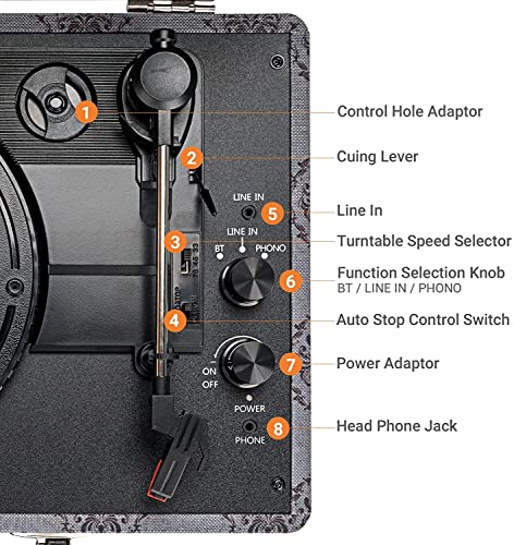 ByronStatics Vinyl Plattenspieler mit integriertem Lautsprecher